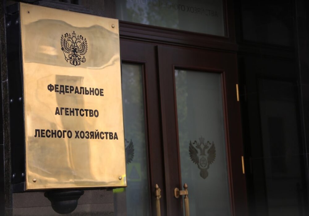 Рослесхоз: обновлены правила использования лесов для сельского хозяйства и заготовки живицы